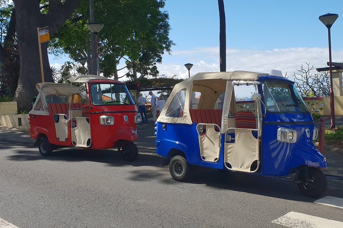 Funchal City Tour + Old Town - Guides, Routes, and How the Ride Feels in Real Life