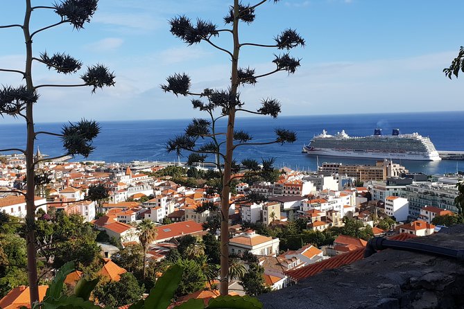 Funchal City Tour + Old Town - Who This Tour Fits Best, and Who Should Consider Other Options