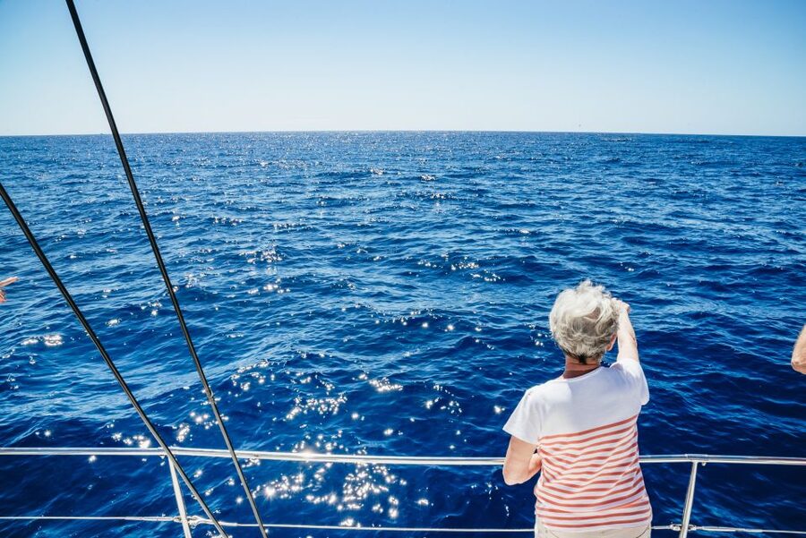 Funchal: Dolphin and Whale Watching by Luxury Catamaran - Key things I’d circle before you go
