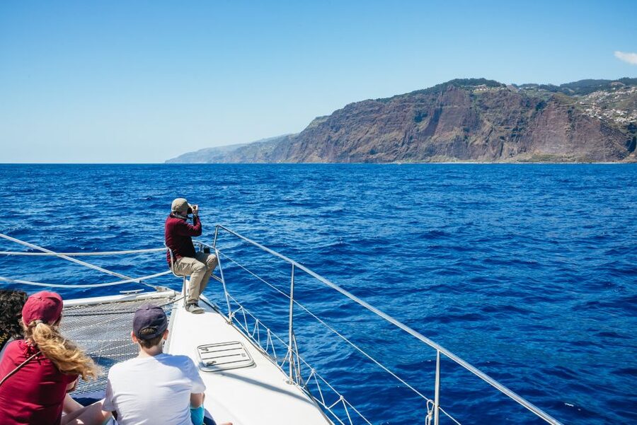 Funchal: Dolphin and Whale Watching by Luxury Catamaran - Best for who, and best ways to time it