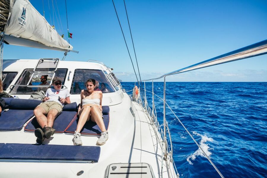 Funchal: Dolphin and Whale Watching by Luxury Catamaran - Dolphin and whale watching off Madeira: what you’re most likely to spot