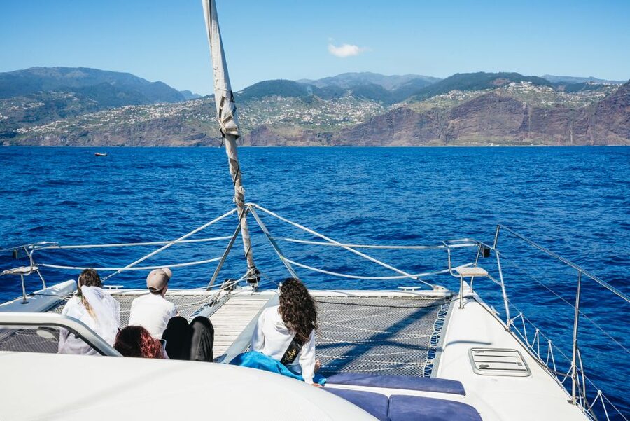 Funchal: Dolphin and Whale Watching by Luxury Catamaran - Price and value: is $47 a fair deal for a luxury whale watch?