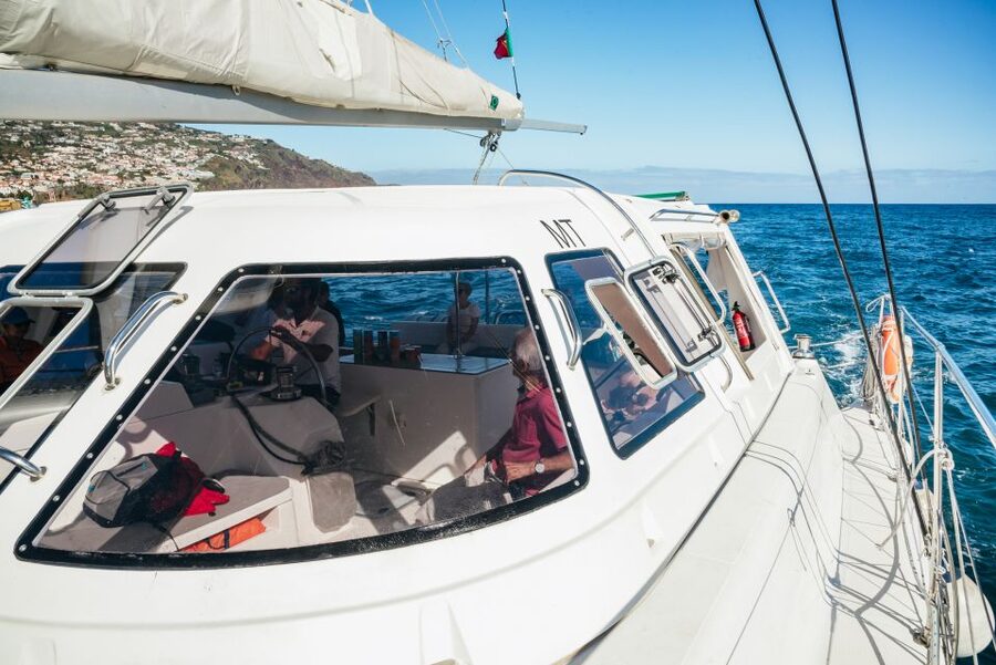 Funchal: Dolphin and Whale Watching by Luxury Catamaran - A 3-hour cruise plan, and what each part is really for