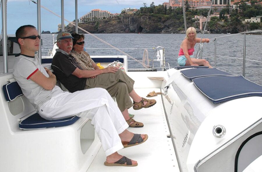 Funchal: Dolphin and Whale Watching Catamaran Cruise - The cruising segment: looking for dolphins, whales, and turtles in their own world