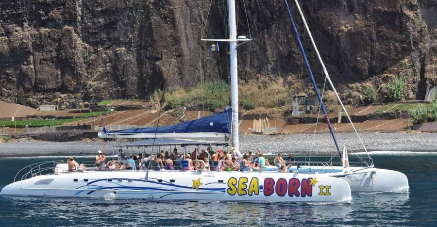 Funchal: Dolphin and Whale Watching Catamaran Cruise - Responsible wildlife watching, including cleanup and behavior rules
