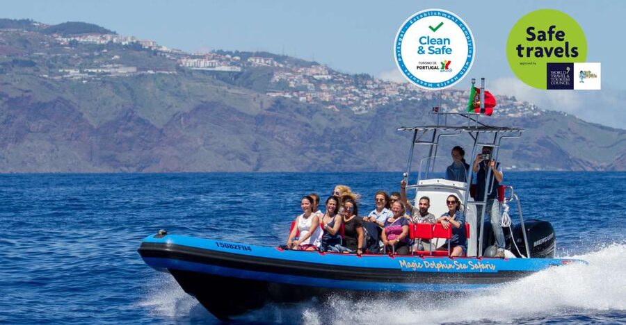 Funchal: Dolphin and Whale Watching Cruise - Madeira’s Sea Safari puts cetaceans close to the action