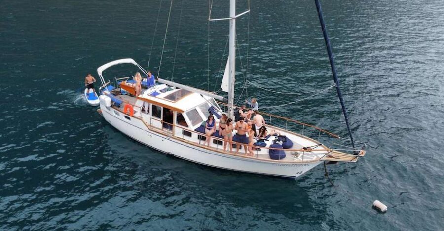 Funchal: Dolphin and Whale Watching Sailing Trip - Key Points to Know Before You Go