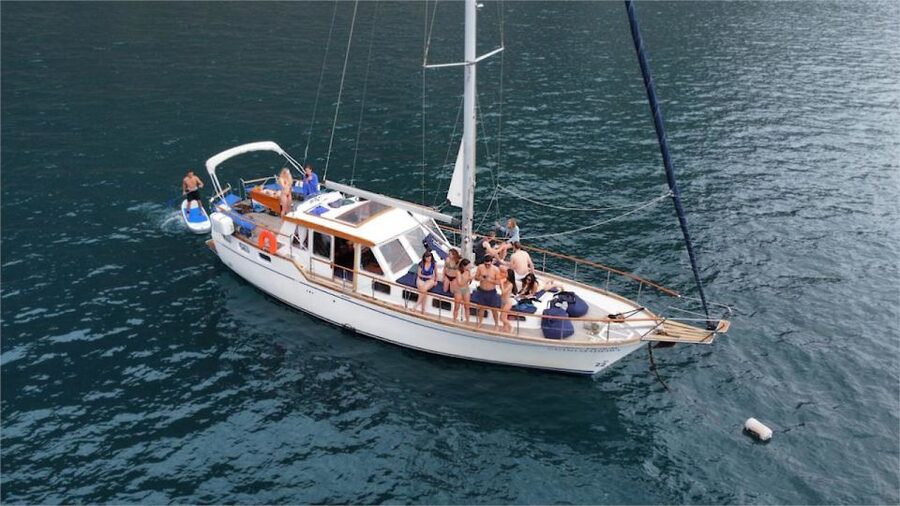 Funchal: Dolphin and Whale Watching Sailing Trip - The 3-Hour Sailing Route: What You’re Doing at Sea (and Why It Matters)