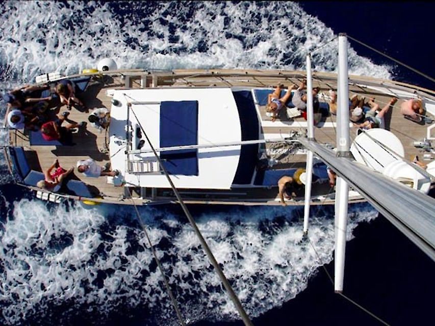 Funchal: Dolphin and Whale Watching Sailing Trip - Wildlife Spotting Tips, Told the Practical Way