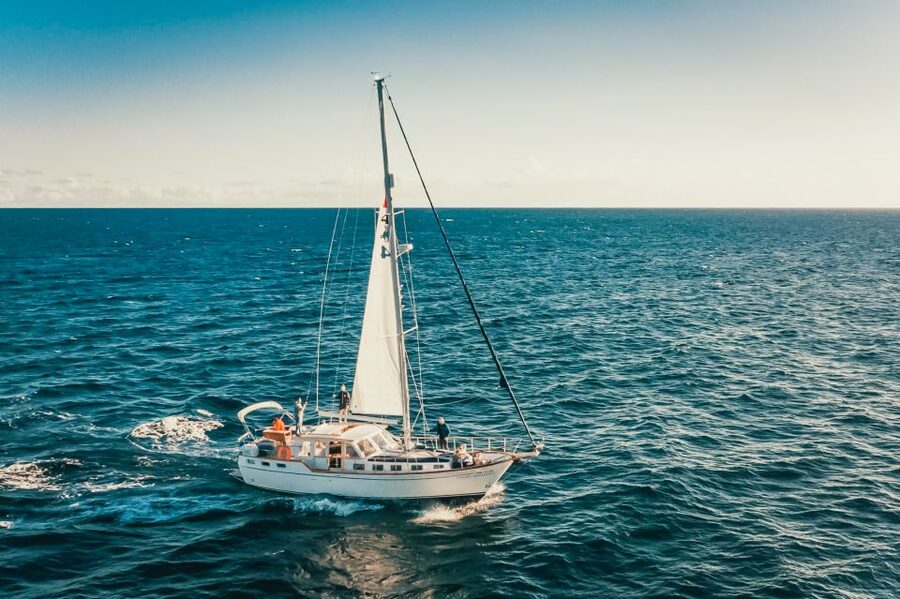 Funchal: Dolphin and Whale Watching Sailing Trip - Price and Value: Does $47 Really Make Sense for 3 Hours?