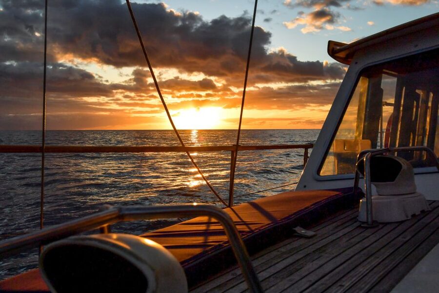 Funchal: Dolphin and Whale Watching Sunset Sailing Tour - A Sail Yacht Sunset Hunt for Madeira’s Whales and Dolphins