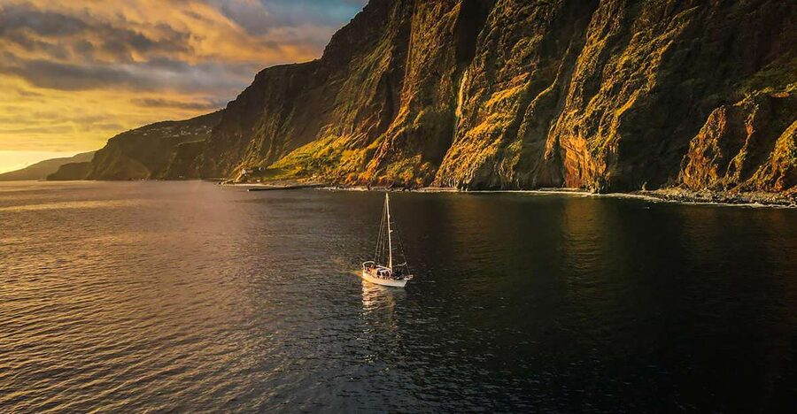 Funchal: Dolphin and Whale Watching Sunset Sailing Tour - The Wildlife Search: What You’re Actually Looking For Up to 3 Miles Out
