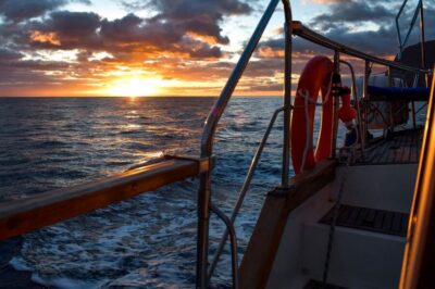 Dolphin and Whale Watching Sunset Sailing Tour