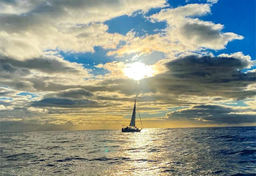 Funchal: Dolphin and Whale Watching Sunset Sailing Tour - What to Bring (and What Helps Once You’re on the Boat)