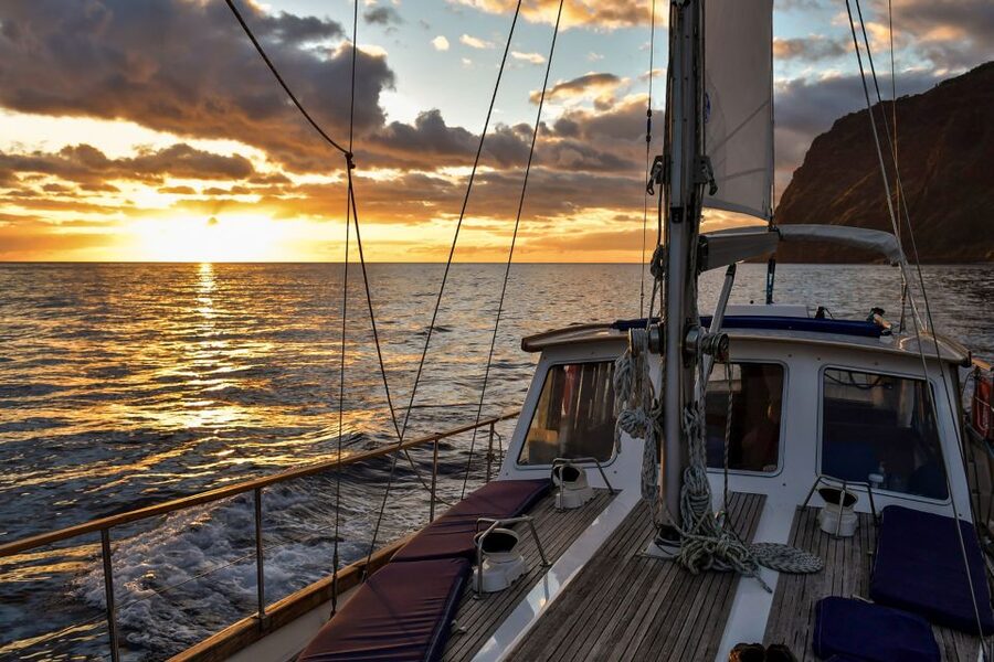 Funchal: Dolphin and Whale Watching Sunset Sailing Tour - Who This Tour Suits Best, and Who Might Skip It