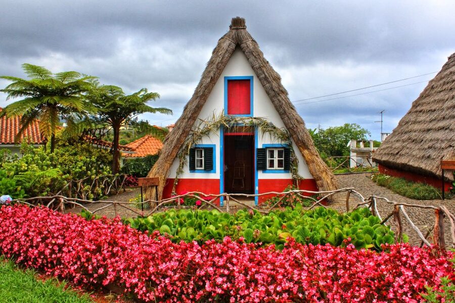 Funchal: East Madeira Island Guided Tour & Laurissilva Walk - How the guides make the day work, from Diego to Bruna to Guillermo