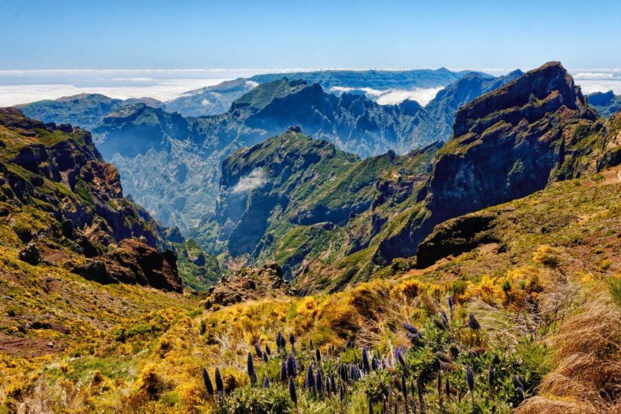 Funchal: East Madeira Island Guided Tour & Laurissilva Walk - Pico do Arieiro, Madeira’s high start and the weather reality