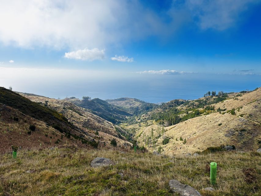 Funchal: East Madeira Island Guided Tour & Laurissilva Walk - Faial viewpoint stop, the quick but good Guindaste views