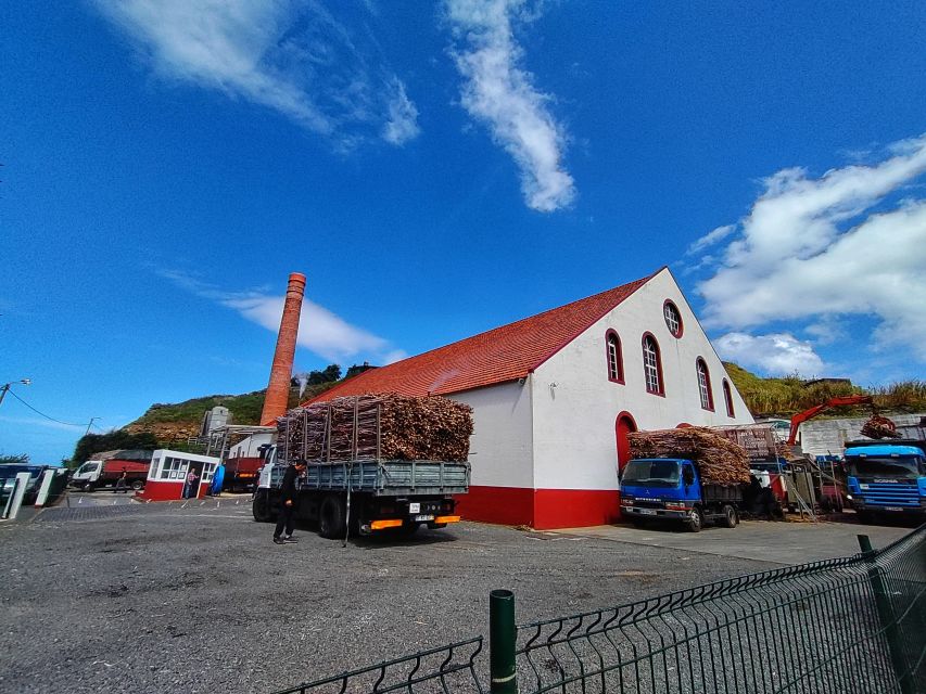 Funchal: East Madeira Island Guided Tour & Laurissilva Walk - Ponta de São Lourenço, finishing with the east peninsula payoff