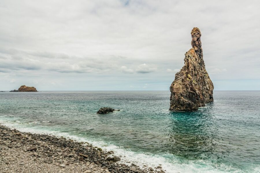Funchal: Enchanted Terraces, Porto do Moniz & Fanal 4WD Tour - Fanal Forest and the Witch Tree walk: the guided part you will remember