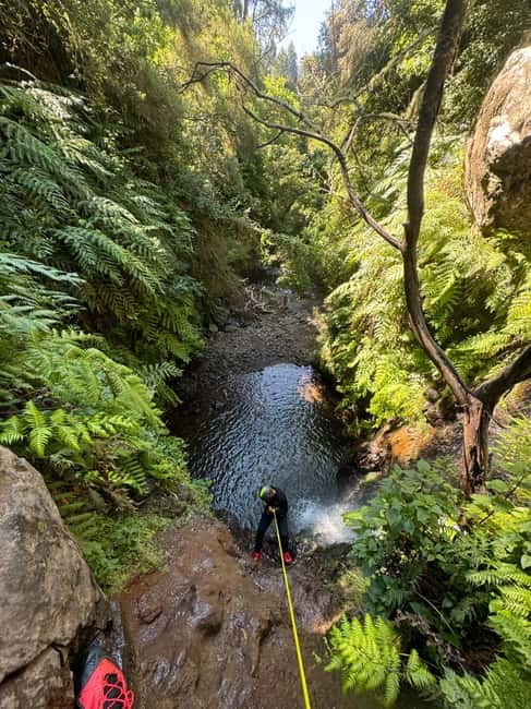 Funchal: Explore Canyoning Level 1 Rochão - Key things you will like about Rochão Level 1