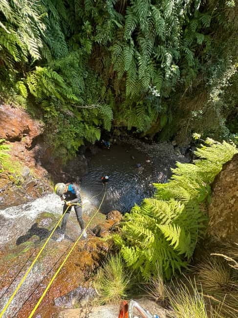 Funchal: Explore Canyoning Level 1 Rochão - Getting to the start: pickups around Funchal’s south coast
