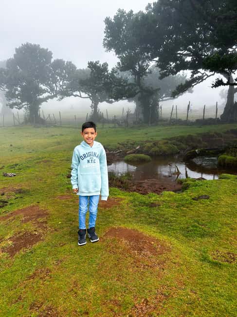 Funchal: Family Madeira Island Tour - A Family-Friendly Madeira Island Day From Funchal