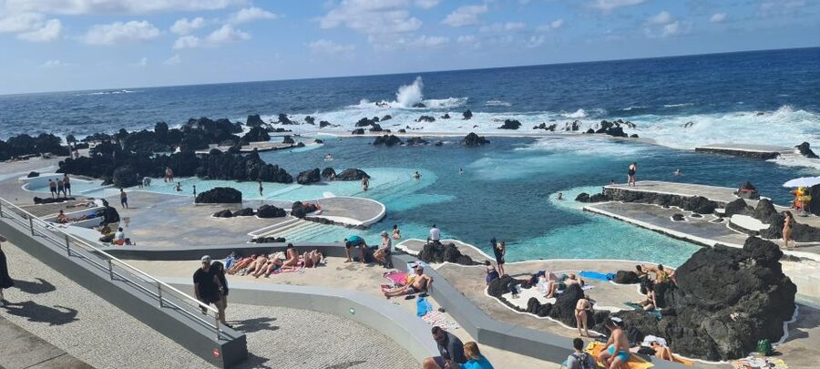 Funchal: Family Madeira Island Tour - Tea, Lunch, and Poncha: Eating Your Way Through Madeira