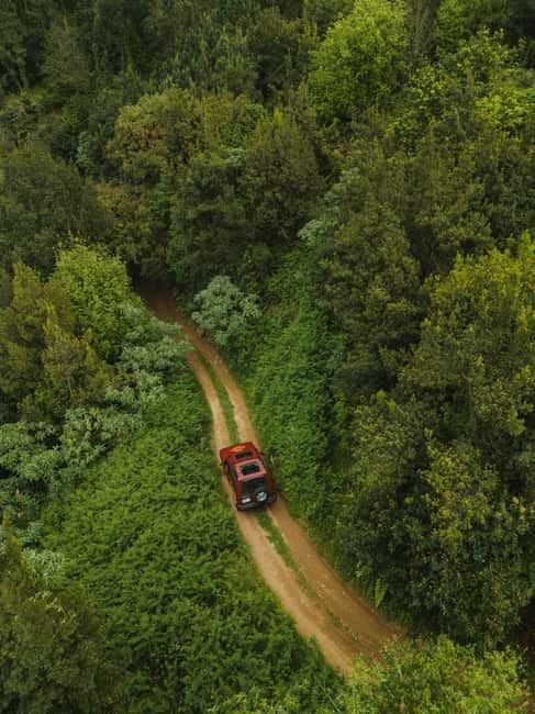 Funchal: Full-day Off-road Tour in West Madeira with Pickup - Fanal Misty Forest: Ancient Laurel Trees and a Place That Can Go Quiet