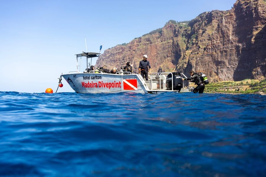 Funchal: Garajau national park - certified divers - Pricing and value: what $50 buys you, and what it does not