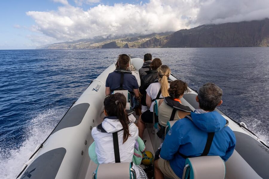 Funchal: Guarantee Wild Dolphin&Whale Watching by RIB - Timing and sea conditions: when 2.5 hours feels short, and when it feels long