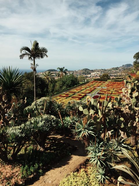 Funchal: Guided Old Town Tuk Tuk Tour and Botanical Gardens - Tuk tuk in Funchal: the best way to move without fighting the hills