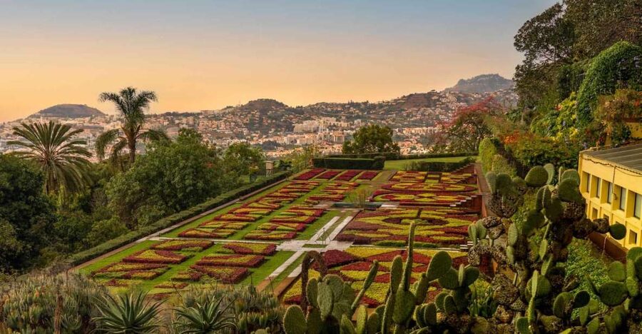 Funchal: Guided Old Town Tuk Tuk Tour and Botanical Gardens - Old Town Funchal: cathedral facades, Rua Ferrão Ornelas, and market energy