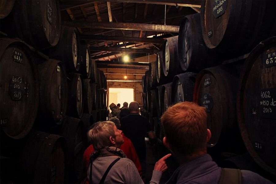 Funchal: H.M. Borges Winery Guided Tour with Wine Tasting - Guided tour flow, what you actually see before the first glass
