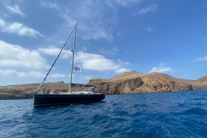 Funchal: Half and Full Day Private Sailboat Tour - Dolphins and whales: what to expect, and how to make the most of it
