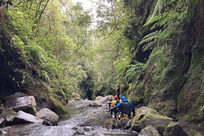 Funchal: Half-day Beginners Canyoning - Starting point at Lokoloko Hotel Galosol, and how the morning runs