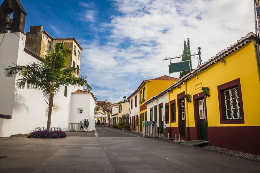 Funchal: Hop-On Hop-Off Bus Tour - Who should book this yellow bus tour