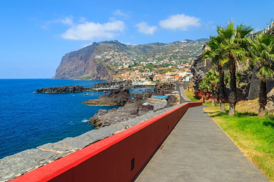 Funchal: Hop-On Hop-Off Bus Tour - Starting at the Funchal Marina, then building your day