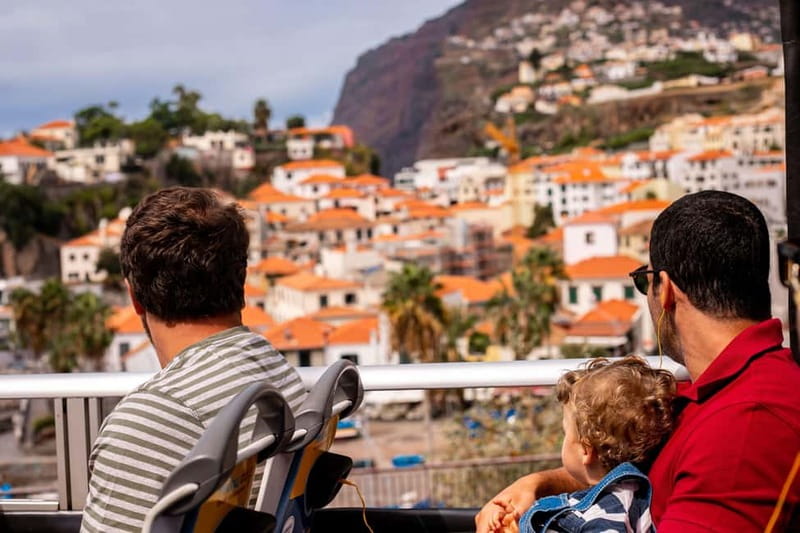 Funchal:Hop-on Hop-off Bus & Whale & Dolphin boat Excursion - Key things I’d focus on