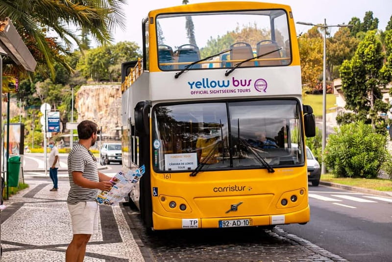 Funchal:Hop-on Hop-off Bus & Whale & Dolphin boat Excursion - Where you meet, and how to not lose time on arrival