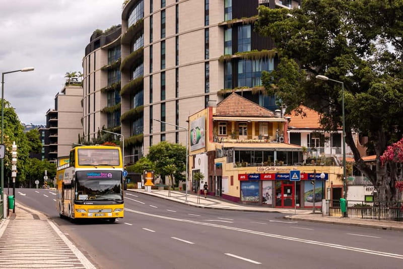 Funchal:Hop-on Hop-off Bus & Whale & Dolphin boat Excursion - The catamaran: dolphins, whales, and a water break at Fajã do Cabo Girão