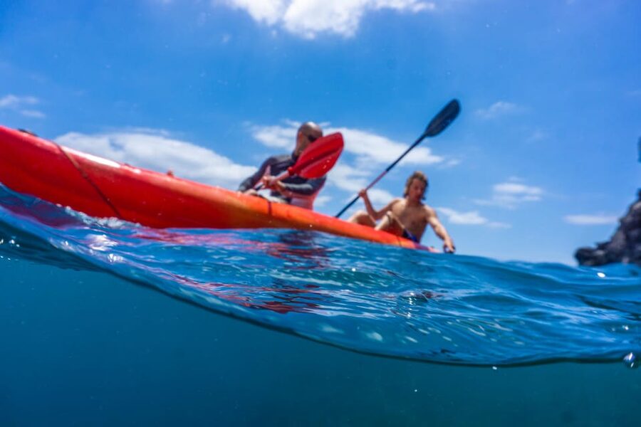 Funchal: KAYAK Rental or Guided tour with snorkeling - Kayak and Snorkel in Funchal: Why This Combo Works