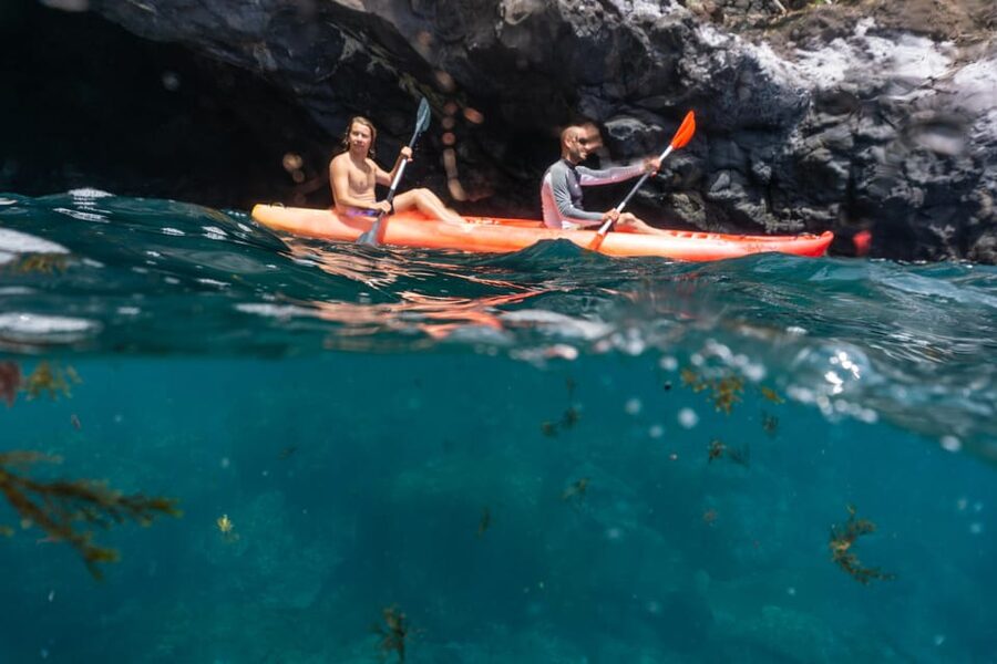 Funchal: KAYAK Rental or Guided tour with snorkeling - Gear-Up Basics: Wetsuits, Lifejackets, and Getting Ready for Water Time