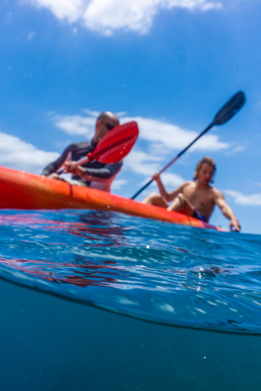 Funchal: KAYAK Rental or Guided tour with snorkeling - The Short Swim to the Mooring: The Real-World Part to Plan For