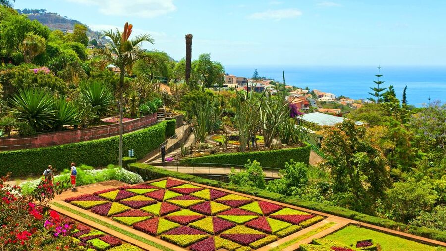 Funchal: Madeira Botanical Garden Private Tuk-Tuk Tour - Inside the Madeira Botanical Gardens: 80,000 m² in About an Hour