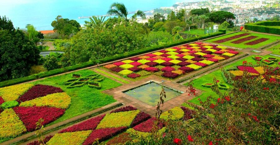 Funchal: Madeira Botanical Garden Private Tuk-Tuk Tour - The Natural History Museum Stop: Why It’s Included