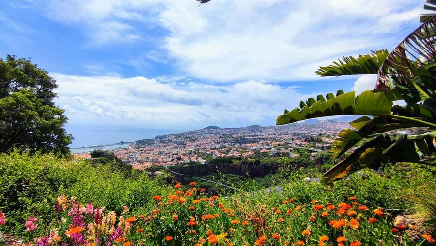 Funchal: Madeira Botanical Garden Private Tuk-Tuk Tour - Should You Book This Funchal Tuk-Tuk Garden Tour?
