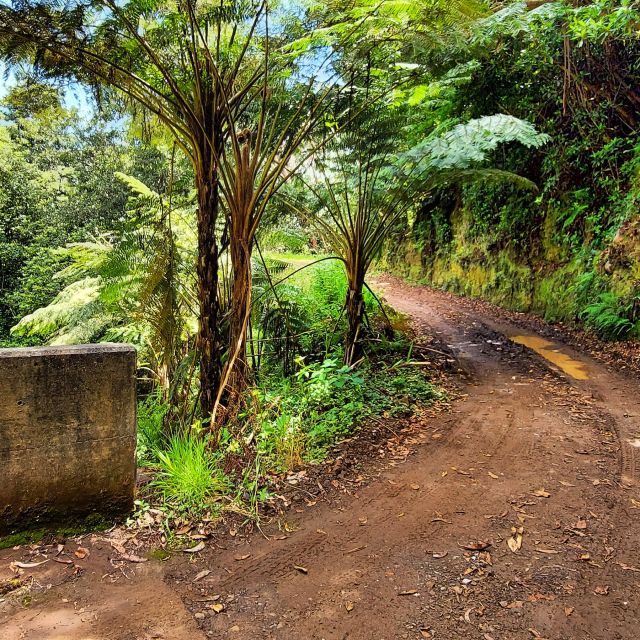 Funchal: Madeira Island 4x4 Private Customizable Tour - Getting Out of Funchal: What Your 7.5 Hours Really Feel Like