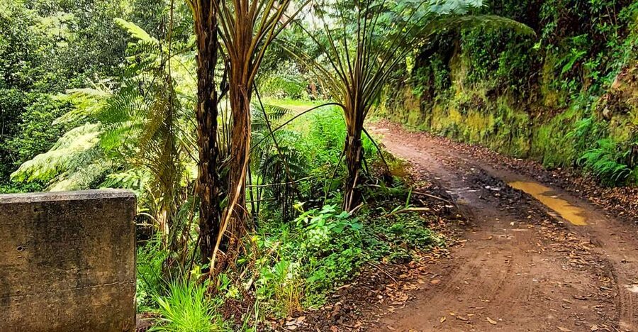 Funchal: Madeira Island 4x4 Private Customizable Tour - Local Stories, Guide Skills, and Language That Actually Helps