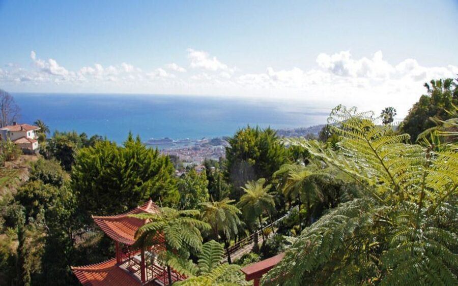 Funchal: Monte Palace Tropical Gardens Tuk Tuk Tour - From Hotel Pickup to Old Town Stops